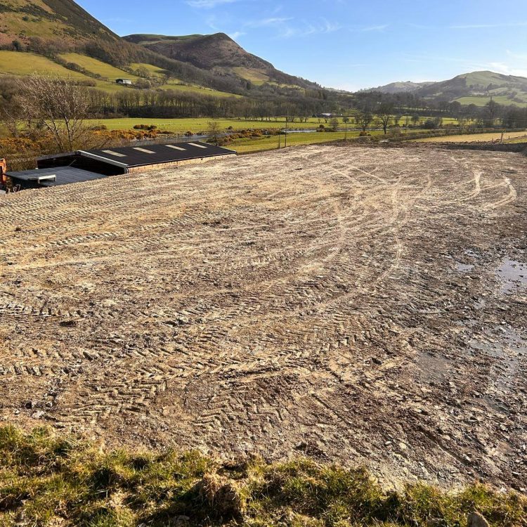 509423439_1322604563202250_5846533127783761509_n